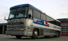Engelse en Amerikaanse bussen